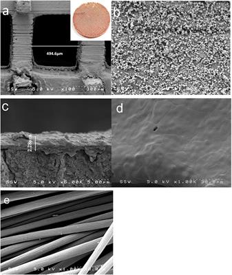 Application of 3D Printed Porous Copper Anode in Microbial Fuel Cells